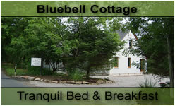 Blubell Cottage B&B