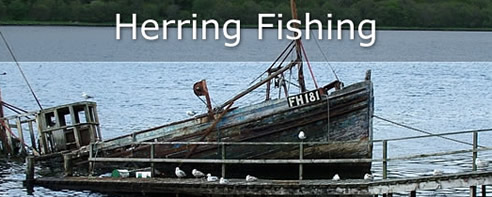 Herring Fishing Loch Fyne