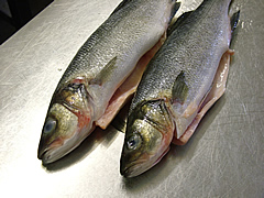 seafood01.jpg